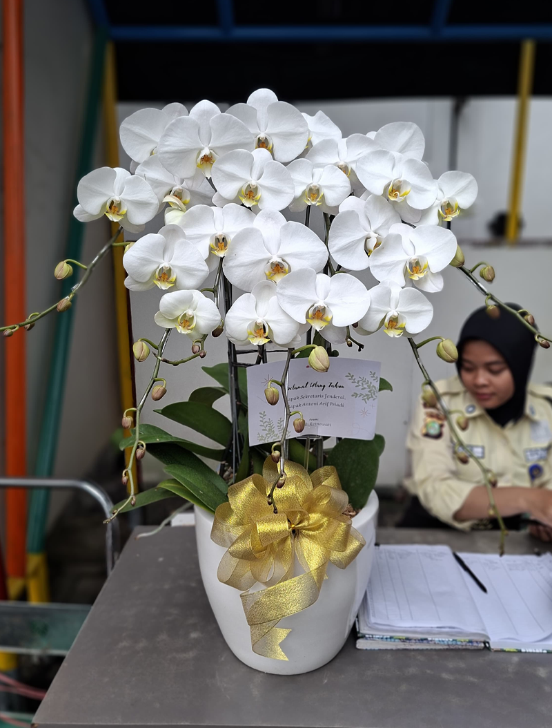 bunga-anggrek-cantik-dalam-vas-keramik-jakarta-chiara-florist1
