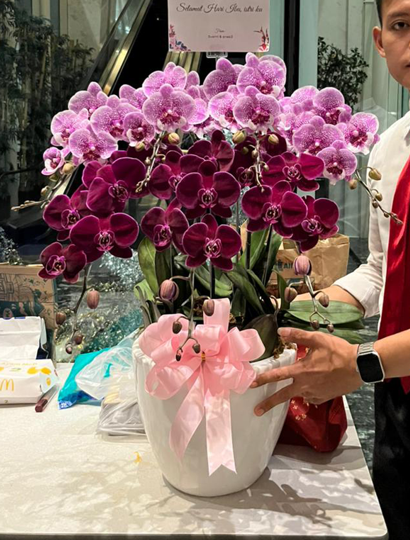 bunga-anggrek-cantik-dalam-vas-keramik-jakarta-chiara-florist2