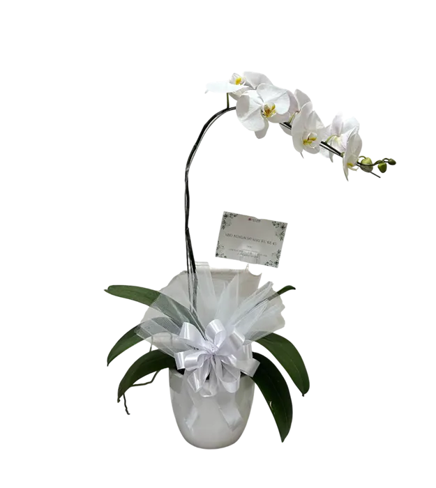 rangkaian-bunga-anggrek-vas-1-orchids-jakarta-chiara-florist1
