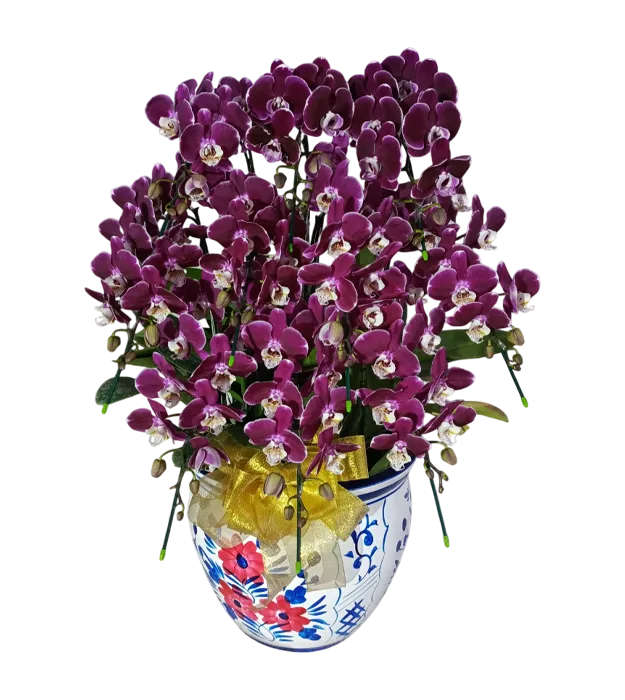 rangkaian-bunga-anggrek-vas-10-purple-orchids-jakarta-chiara-florist1