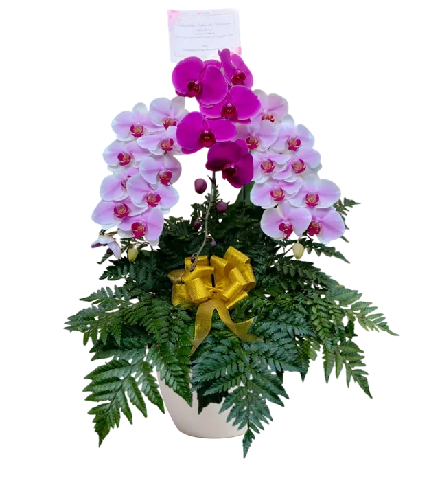 rangkaian-bunga-anggrek-vas-3-orchids-jakarta-chiara-florist1