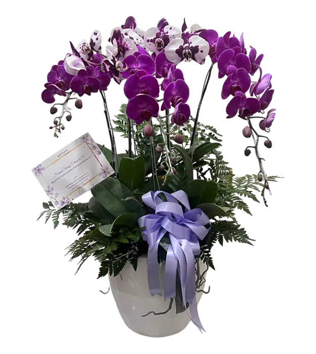 rangkaian-bunga-anggrek-vas-5-orchids-jakarta-chiara-florist1