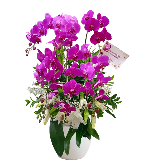 rangkaian-bunga-anggrek-vas-6-orchids-plus-jakarta-chiara-florist1