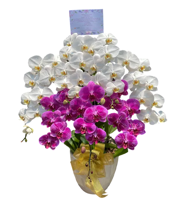 rangkaian-bunga-anggrek-vas-7-mix-white-purple-orchids-jakarta-chiara-florist1