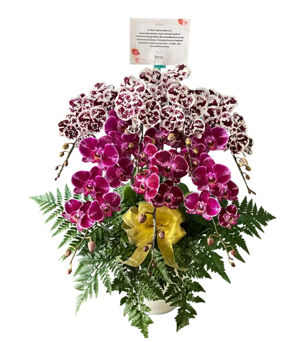 rangkaian-bunga-anggrek-vas-7-orchids-jakarta-chiara-florist1