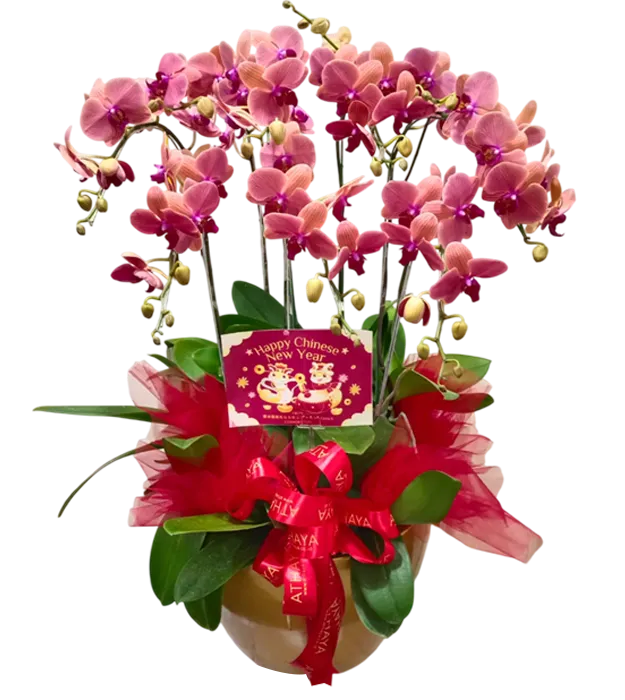 rangkaian-bunga-anggrek-vas-8-cny-orchids-jakarta-chiara-florist1