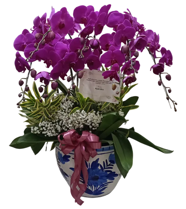 rangkaian-bunga-anggrek-vas-8-orchids-plus-jakarta-chiara-florist1